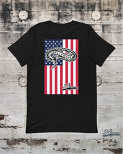 Load image into Gallery viewer, Old Glory In Defense II